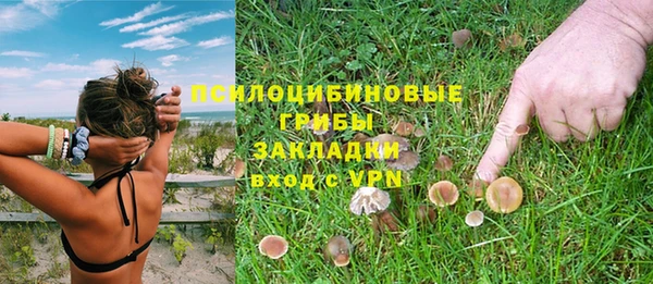 гидропоника Покровск