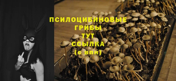 таблы Арсеньев