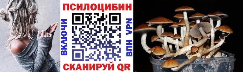 Псилоцибиновые грибы прущие грибы  Шимановск 
